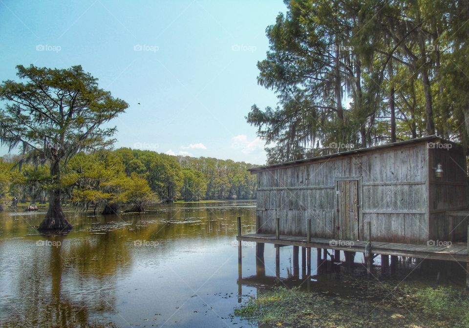 Relax. Caddo Lake, Texas 