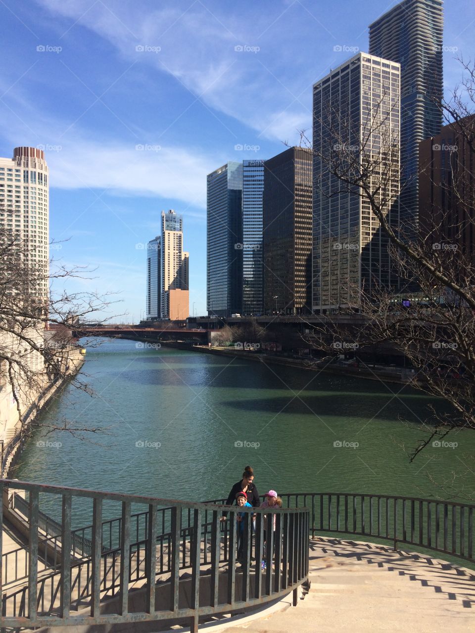 Chicago river 2016
