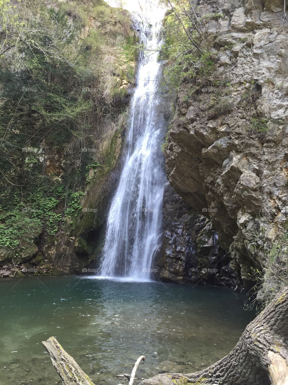 River : Cascade la Cagnes 