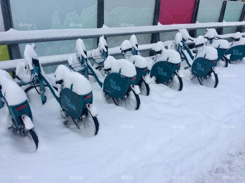 Snowy bikes 