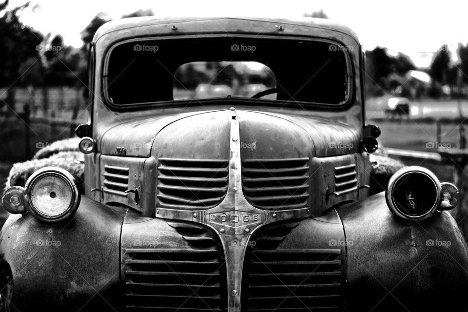 Wheeler Farm Old Dodge Truck