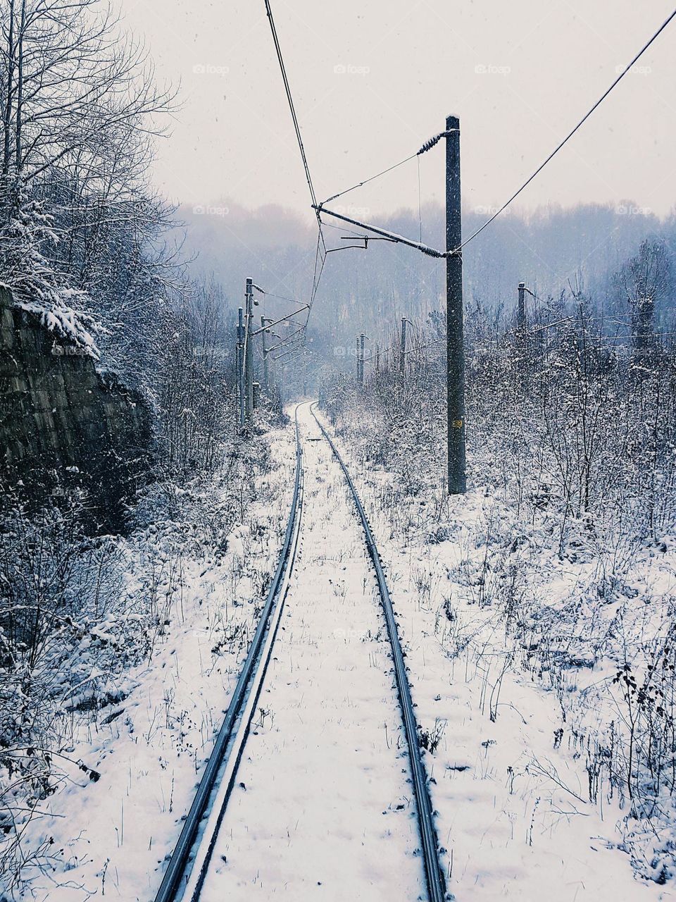 train journey in the white season