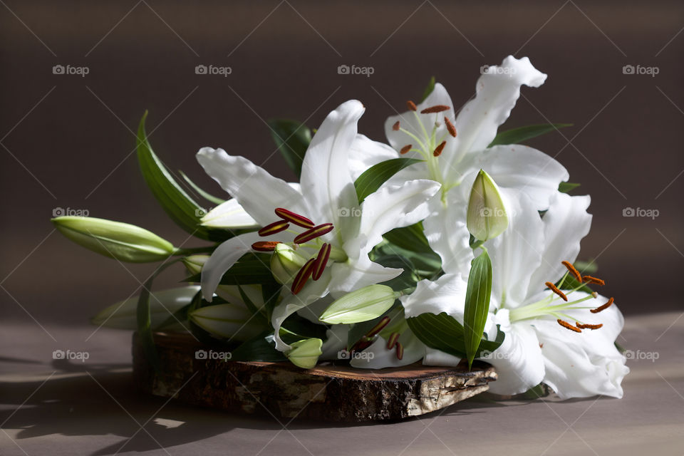 white lilies