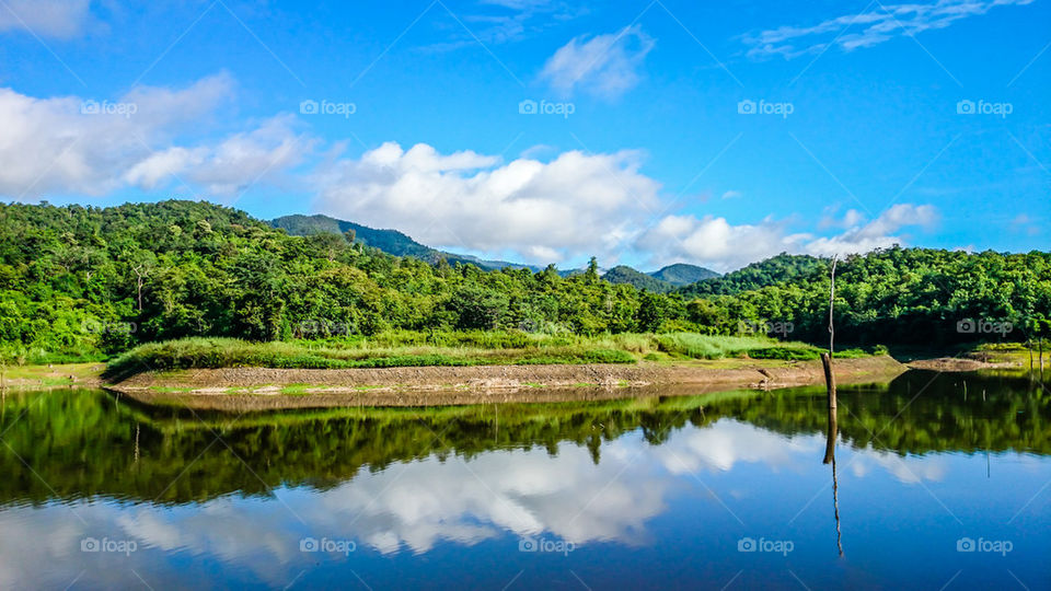 Green mountain near the lake