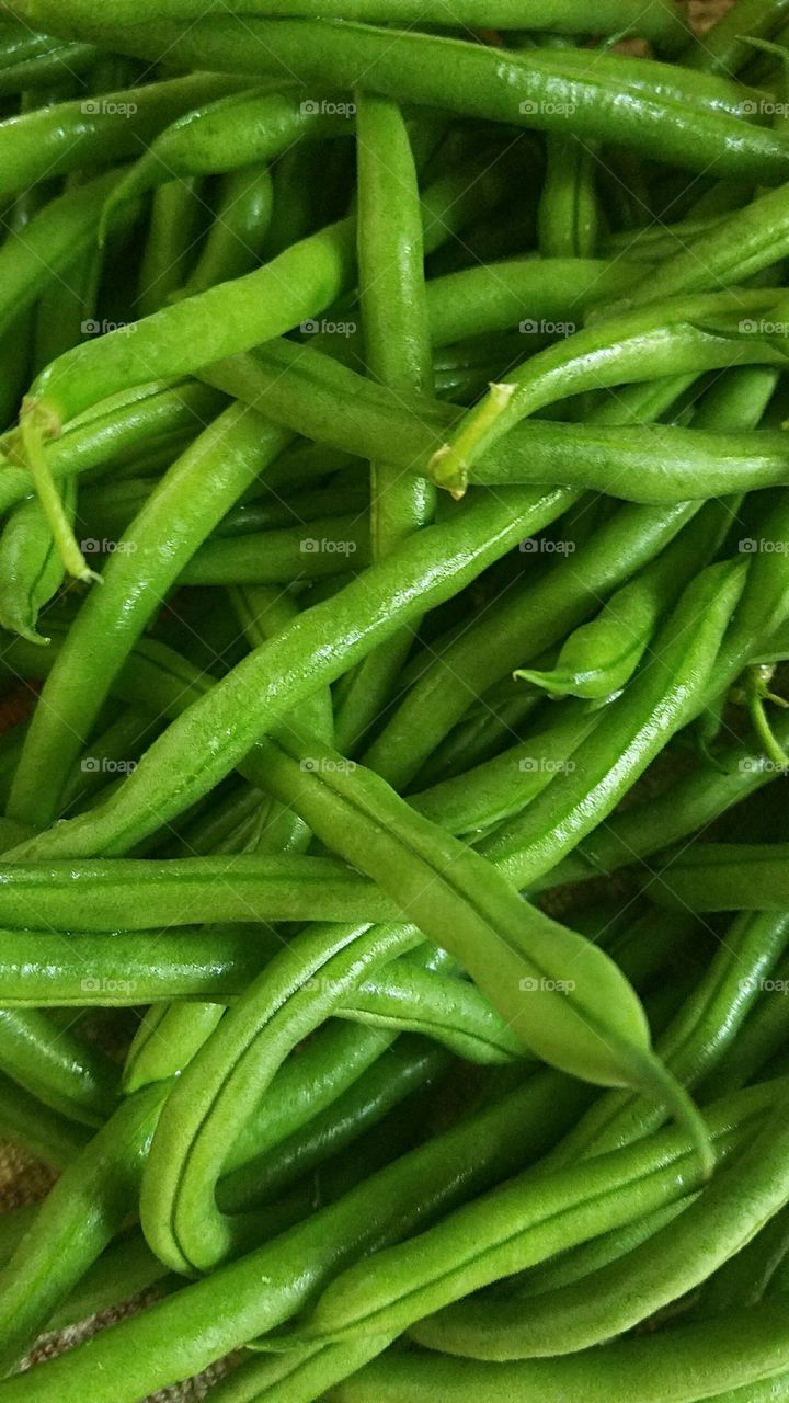green string beans fresh