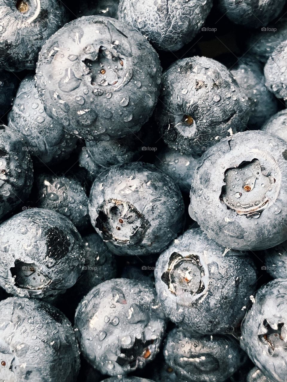 Blueberries 