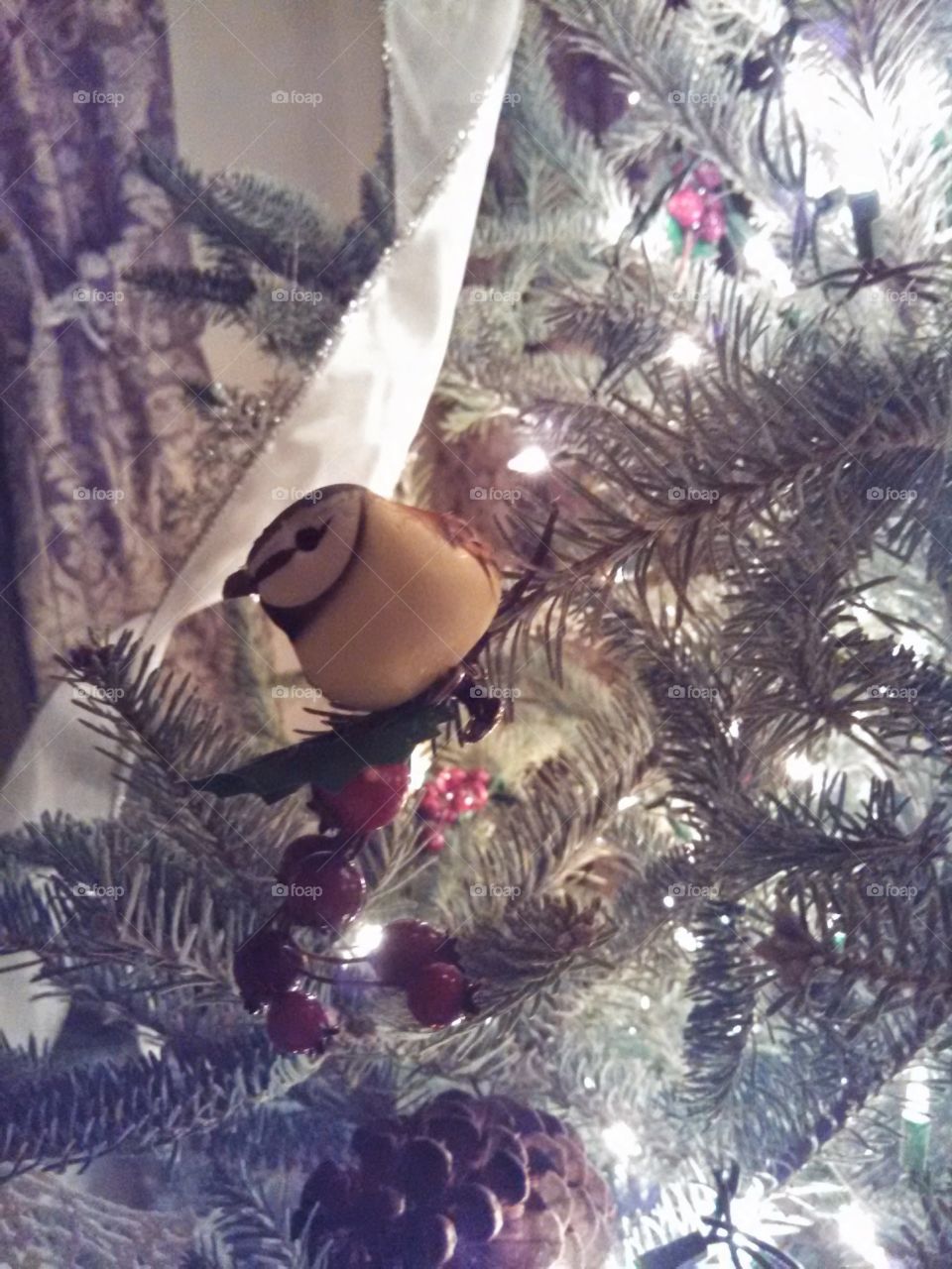 Bird on Christmas Tree