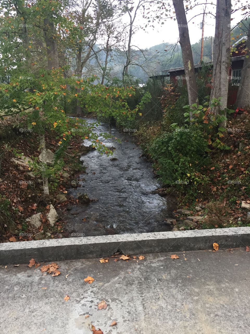 Water under the bridge