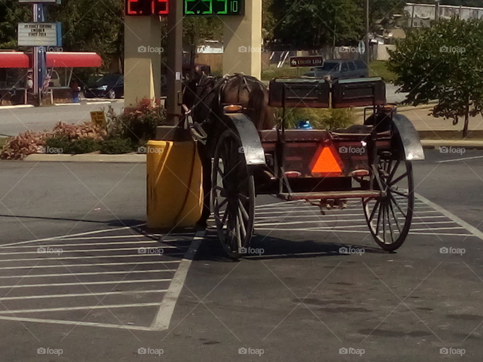 we need to be like the Amish and go back to the horse and buggy days. let's go grocery shopping!