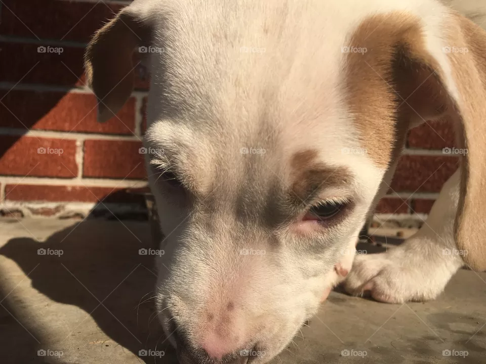 Max 