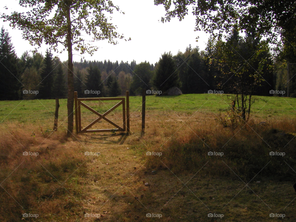 småland äng hage svensk sommar by kalubro