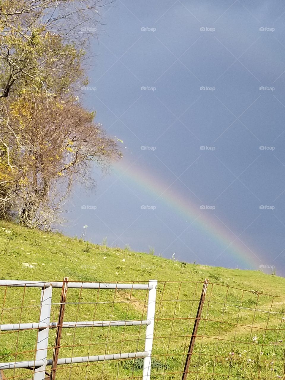 Rainbow after the rain