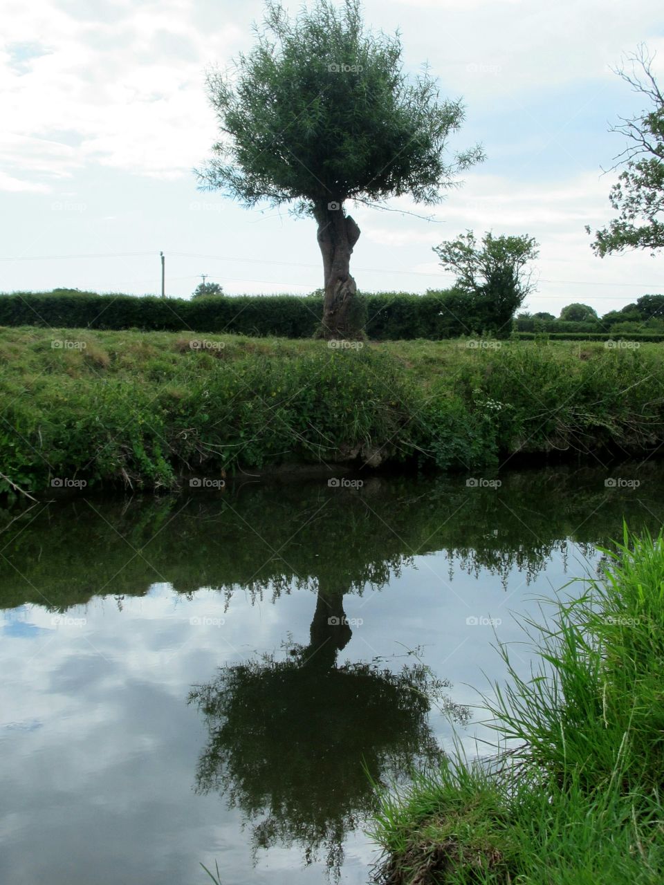 Tree reflection and clouds in stream