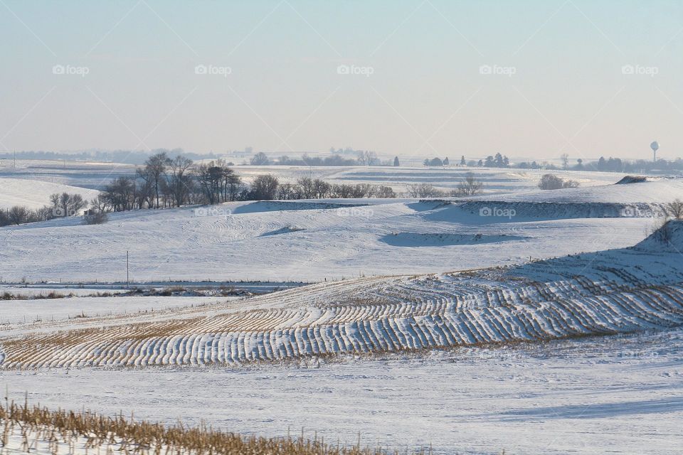 Winter Farm Fields