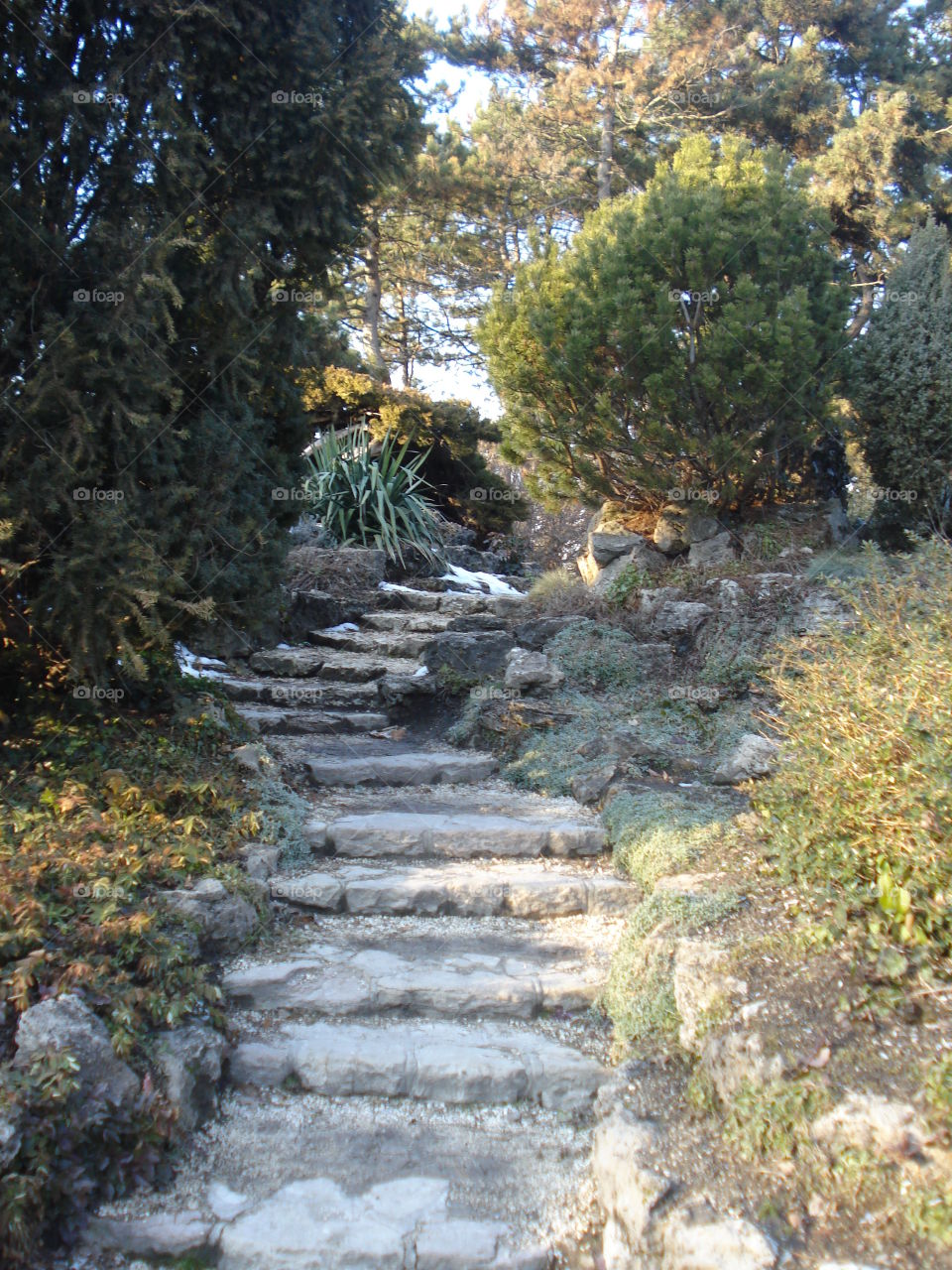 Stone Stairs in a Park