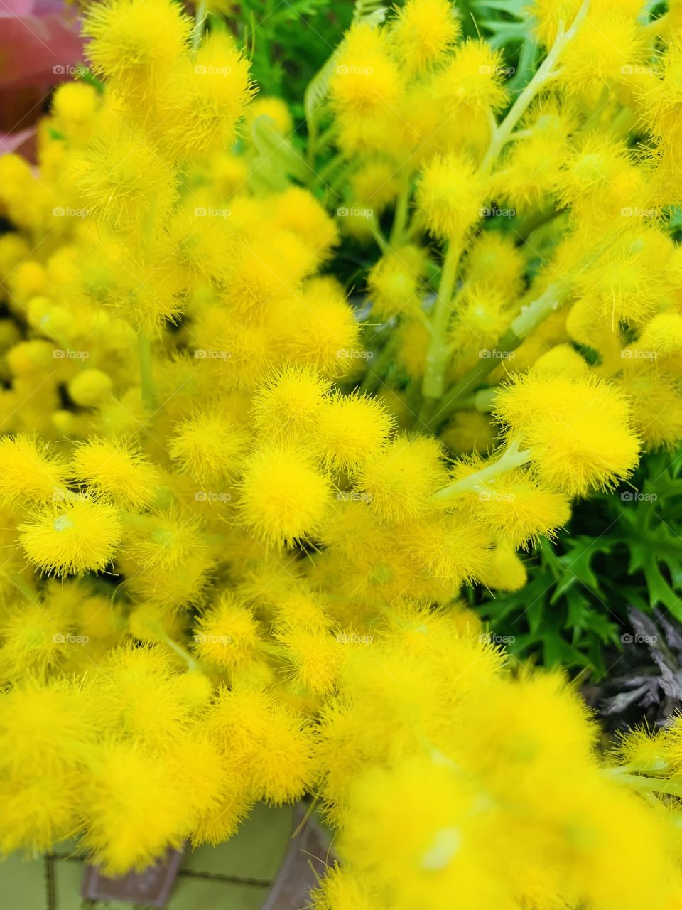 Plastic flower decor 