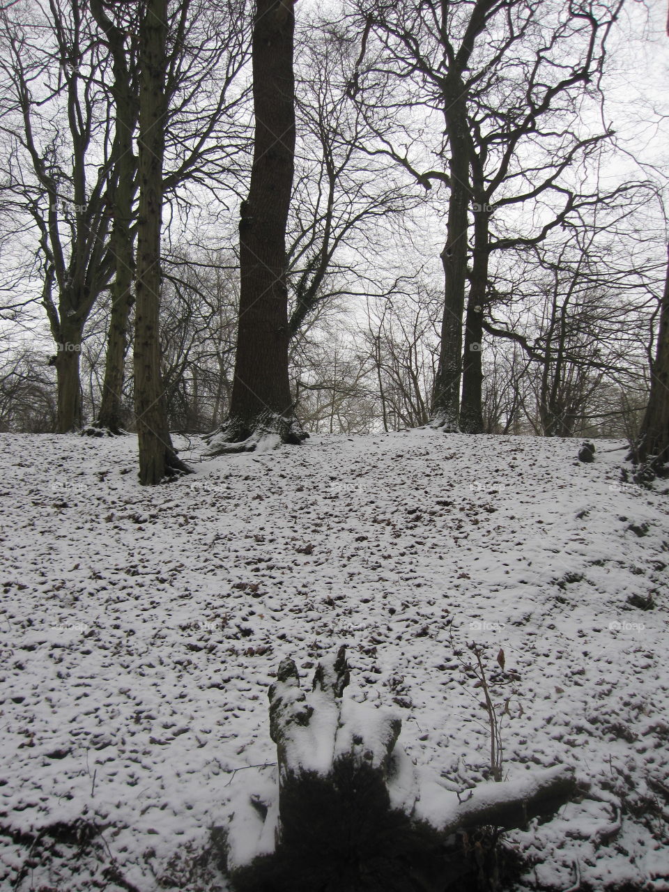 Dusting Of Snow