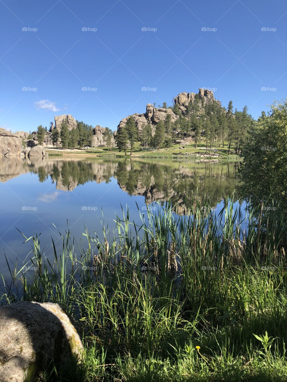 Lake in the Black Hills