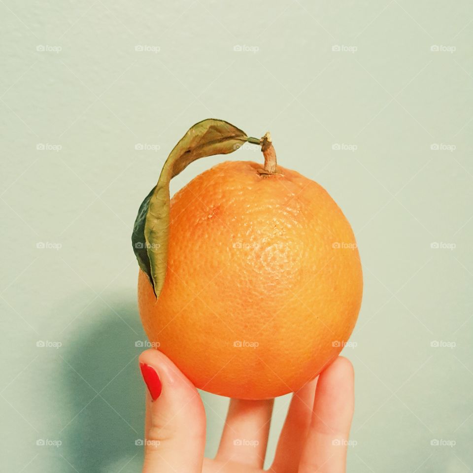 fresh blood orange from a little orange tree