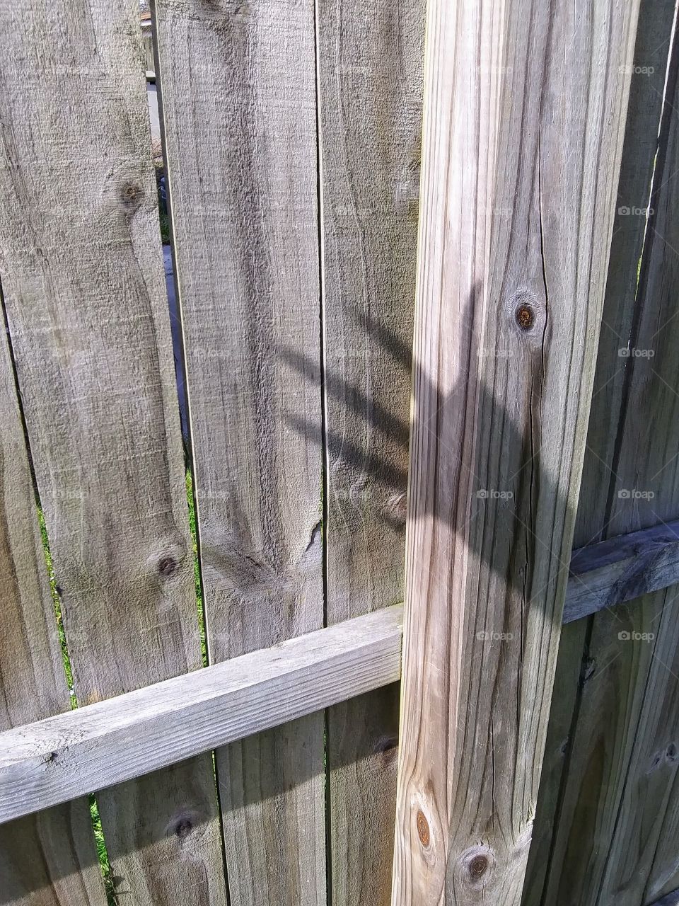 shadow hand on a fence