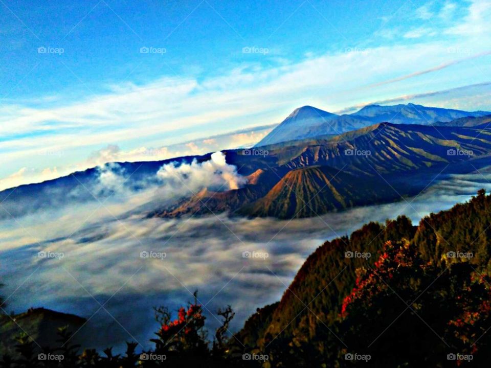 bromo