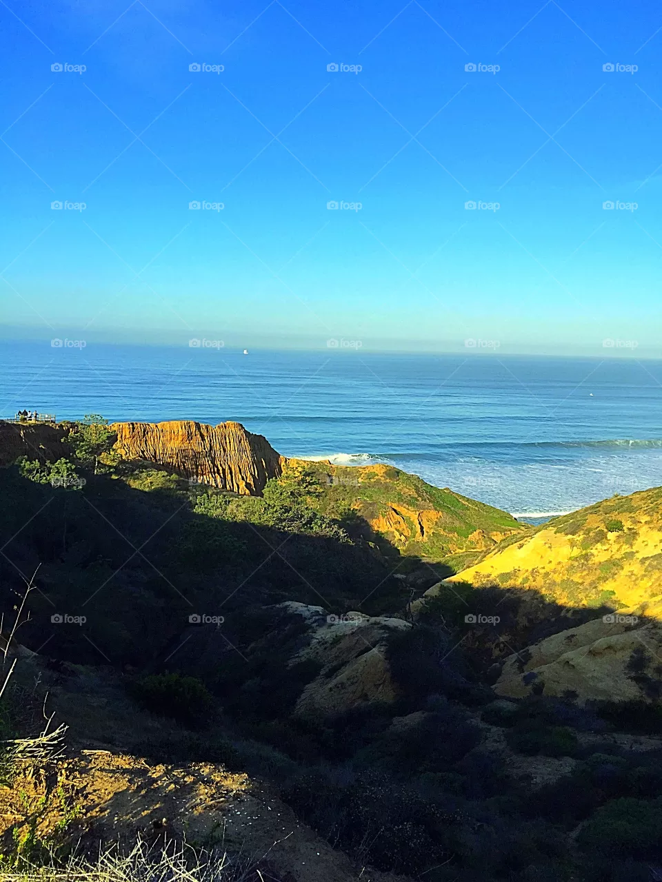 Ocean