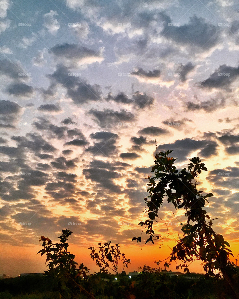 🌄🇺🇸 An extremely beautiful dawn in Jundiaí, interior of Brazil. Cheer the nature! / 🇧🇷 Um amanhecer extremamente bonito em Jundiaí, interior do Brasil. Viva a natureza!