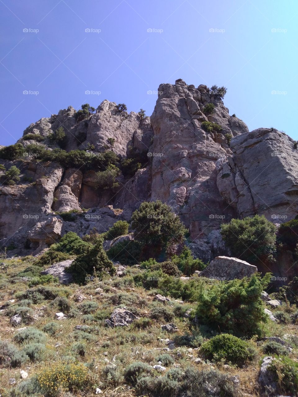 A walk in the direction of Monte Novo San Giovanni