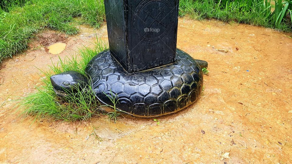 tortoise  foundation