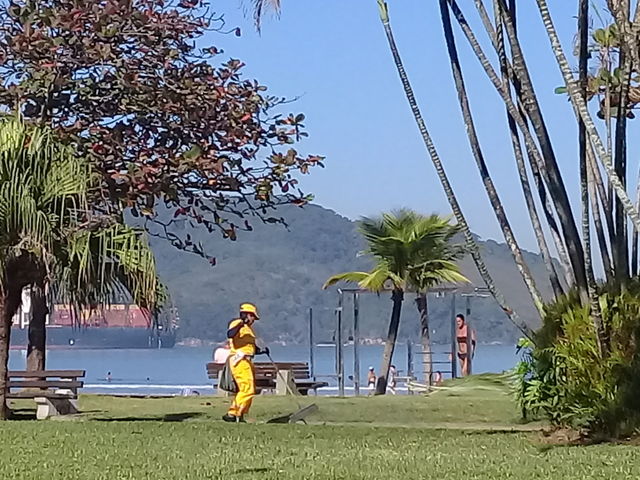 People in small businesses.  Cleaning grass.  Beach