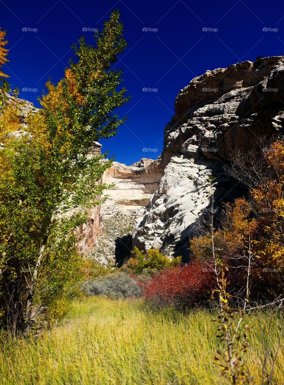 Fall canyon