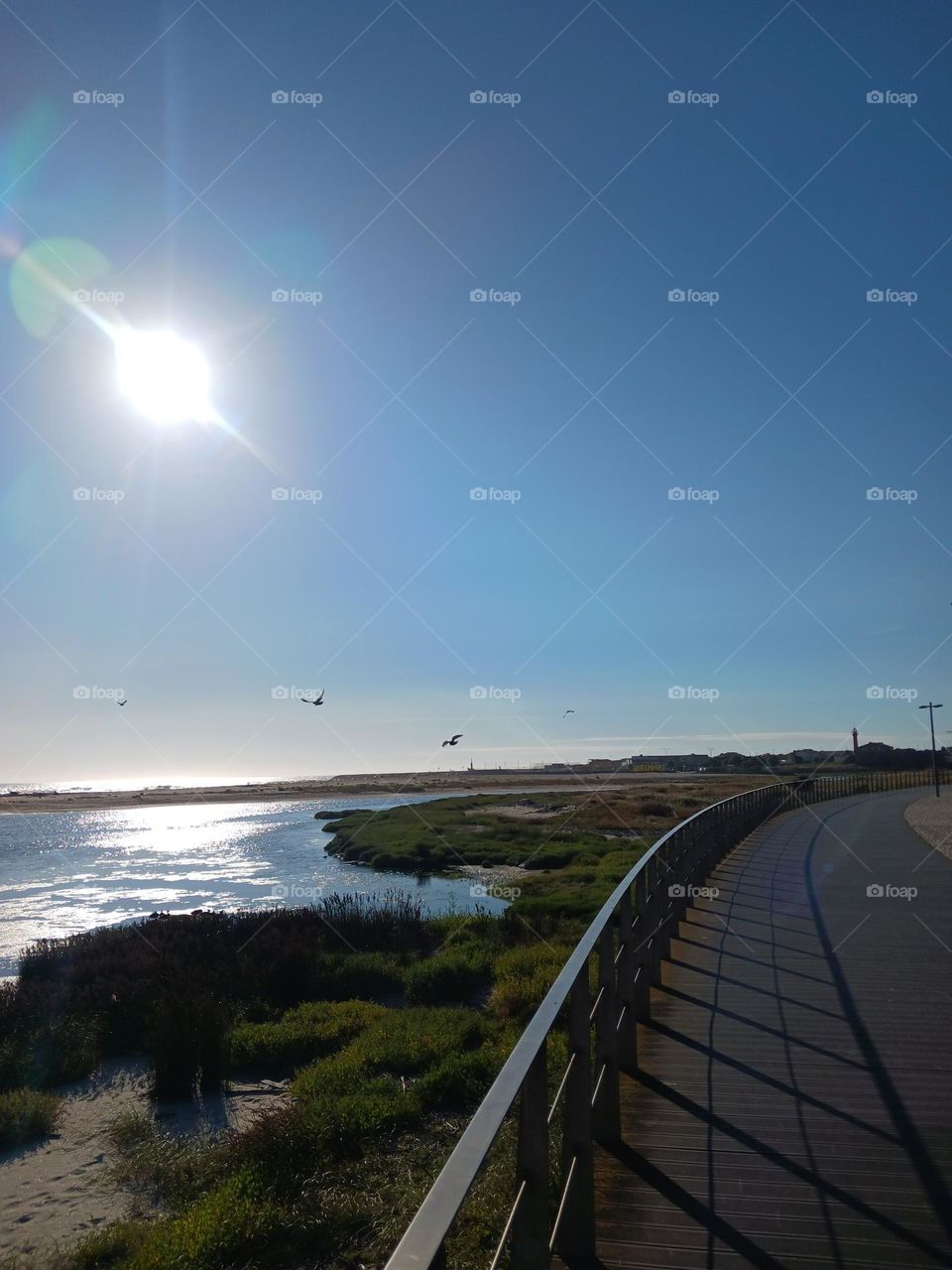 Illuminated paths guide us to new horizons. Esposende