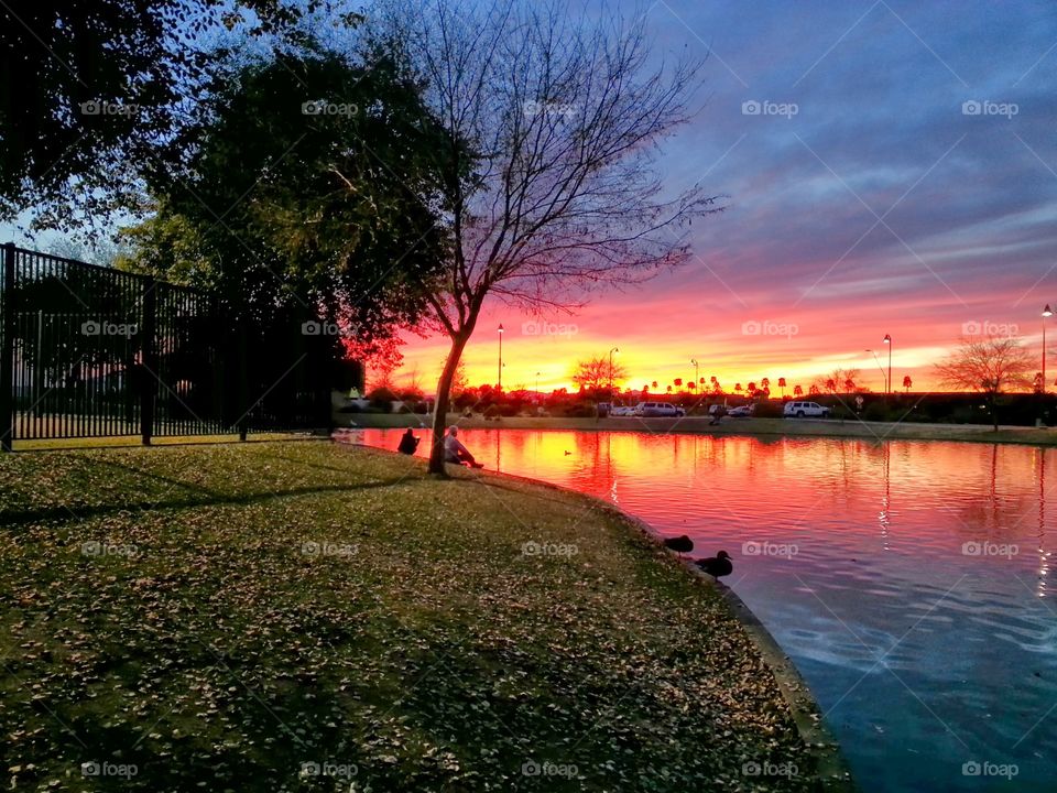 A pond at a park reflecting the gorgeous Arizona sunset with shades of red, pink, yellow, and orange. on the left is a greenbelt, trees, and a cast iron fence.