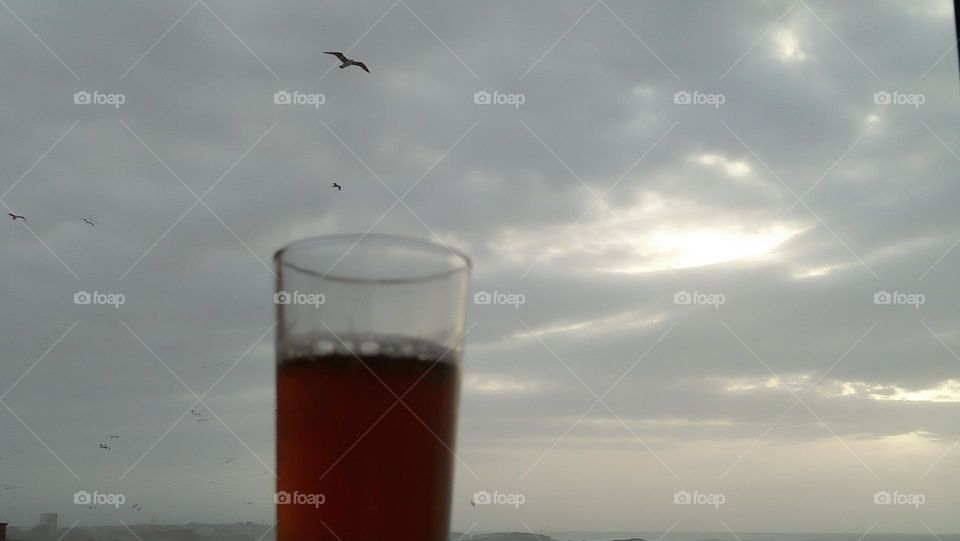 group of seagulls flying in the sky.my cup of tea is ready to drink it.