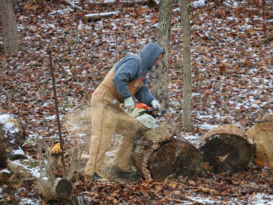 cutting wood for winter