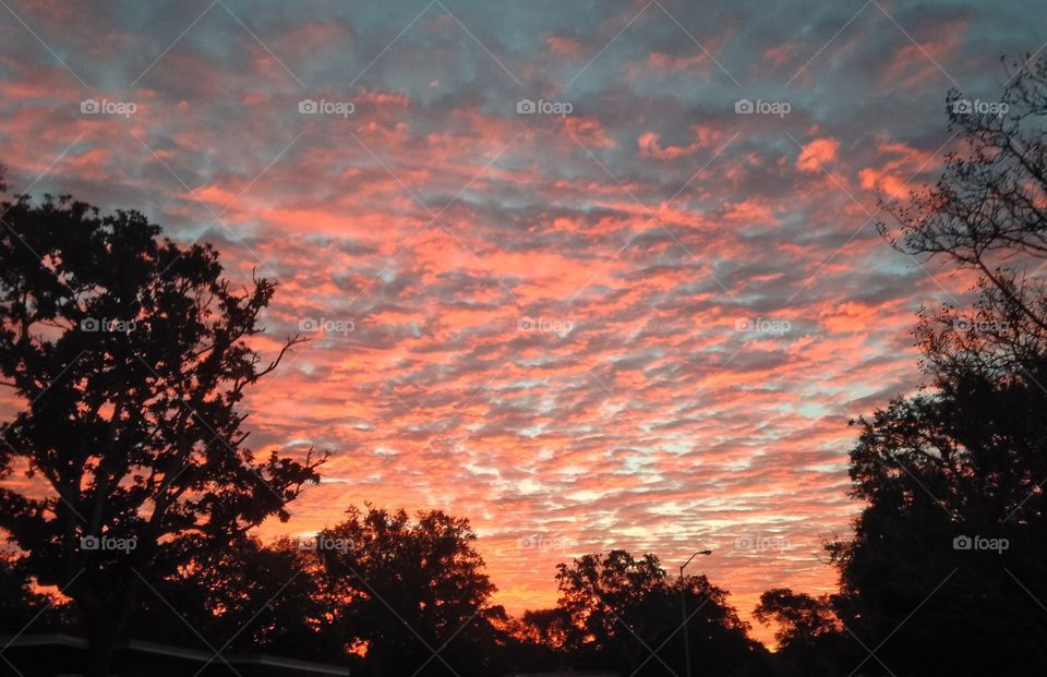 Beautiful sunset sky in Florida. With pink, blue, orange and more. 