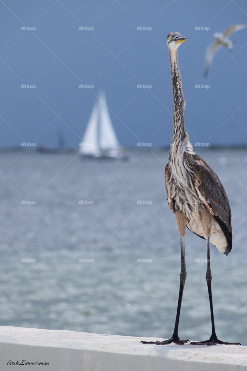 Putting things into perspective... 