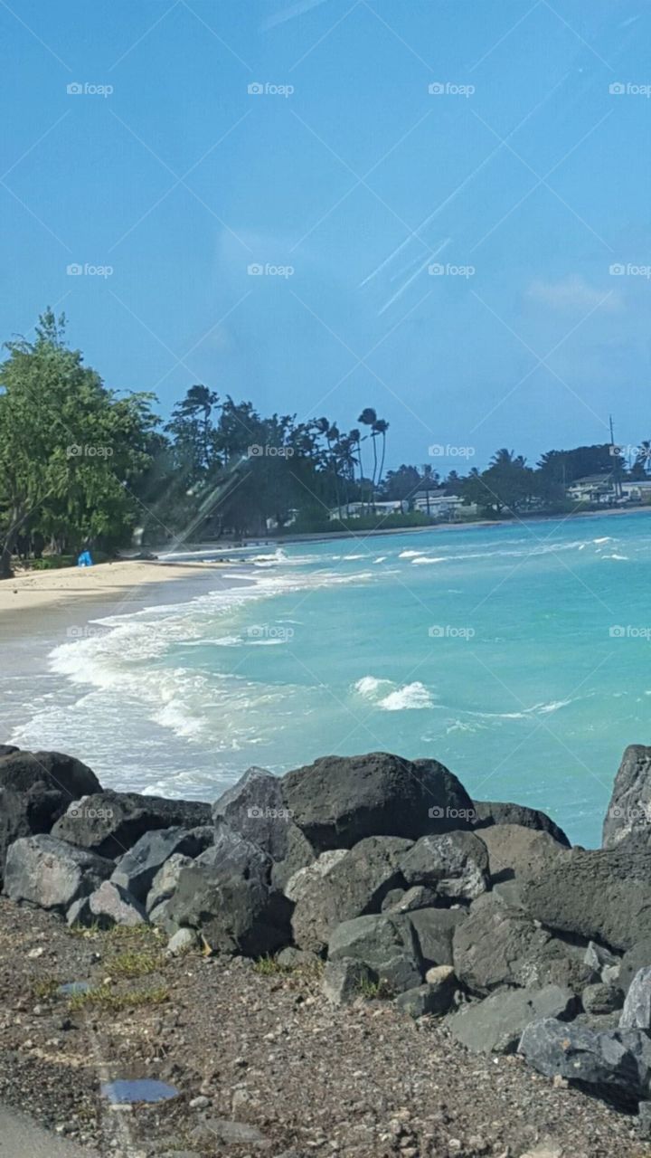 Hawaiian beach