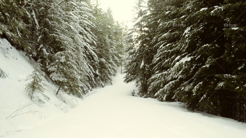 Fielders Mountain Oregon
