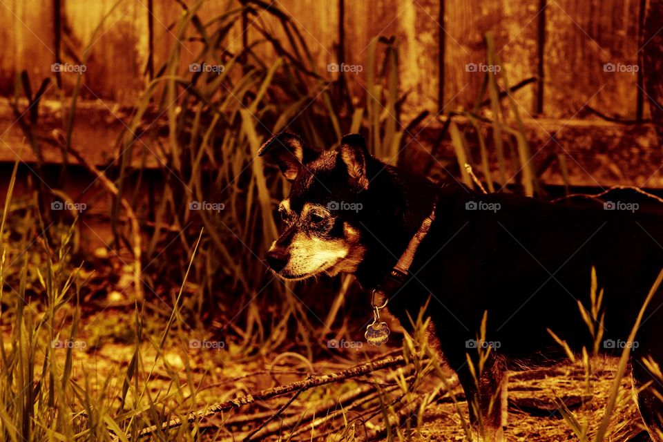 What is that thing? Should I explore it?