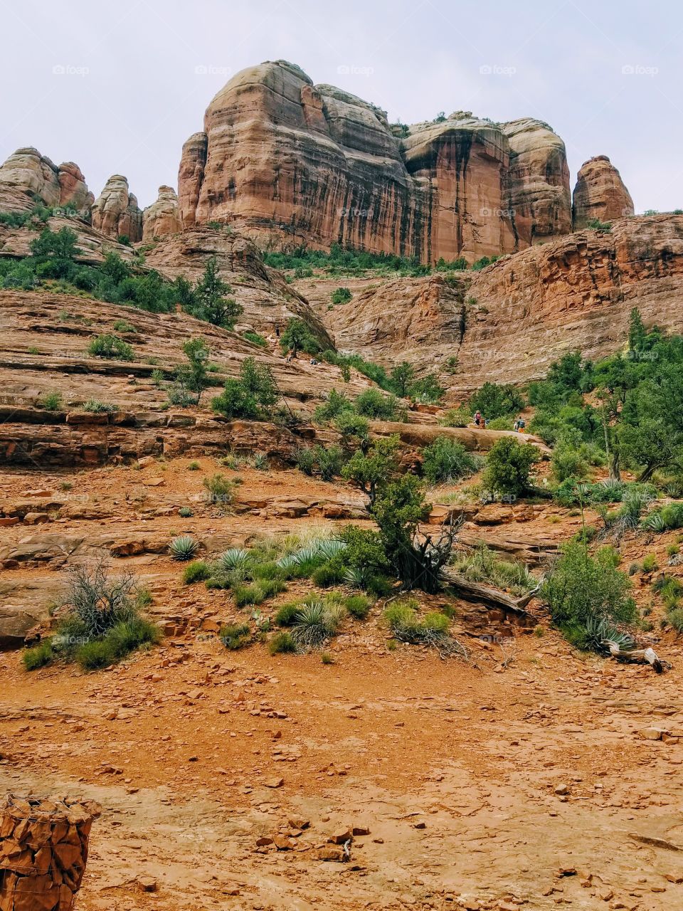 Beautiful hike in Cathedral Rock Arizona 