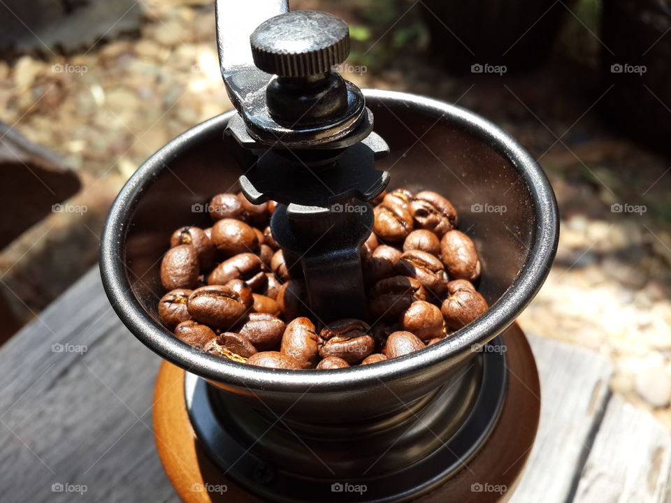 coffee seed in  grinder