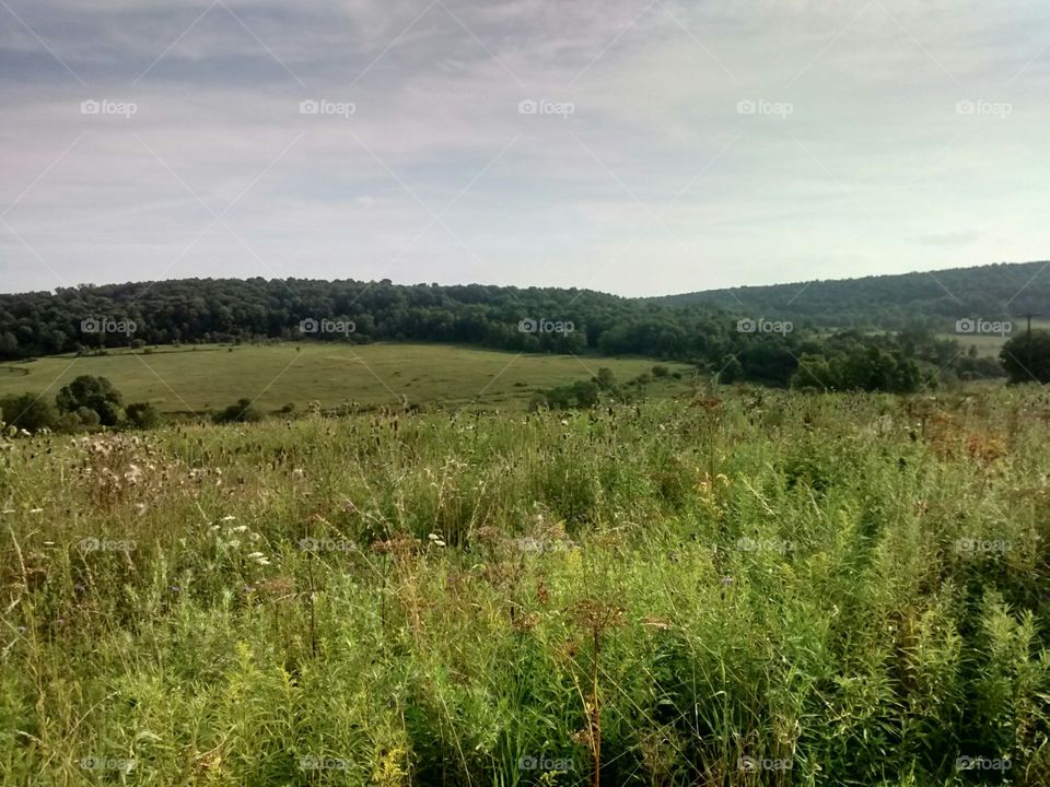 Summer hills and fields landscape