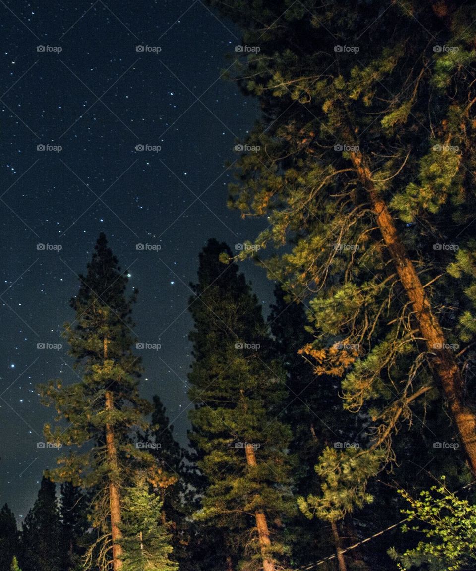 Long exposure of stars and trees in California 