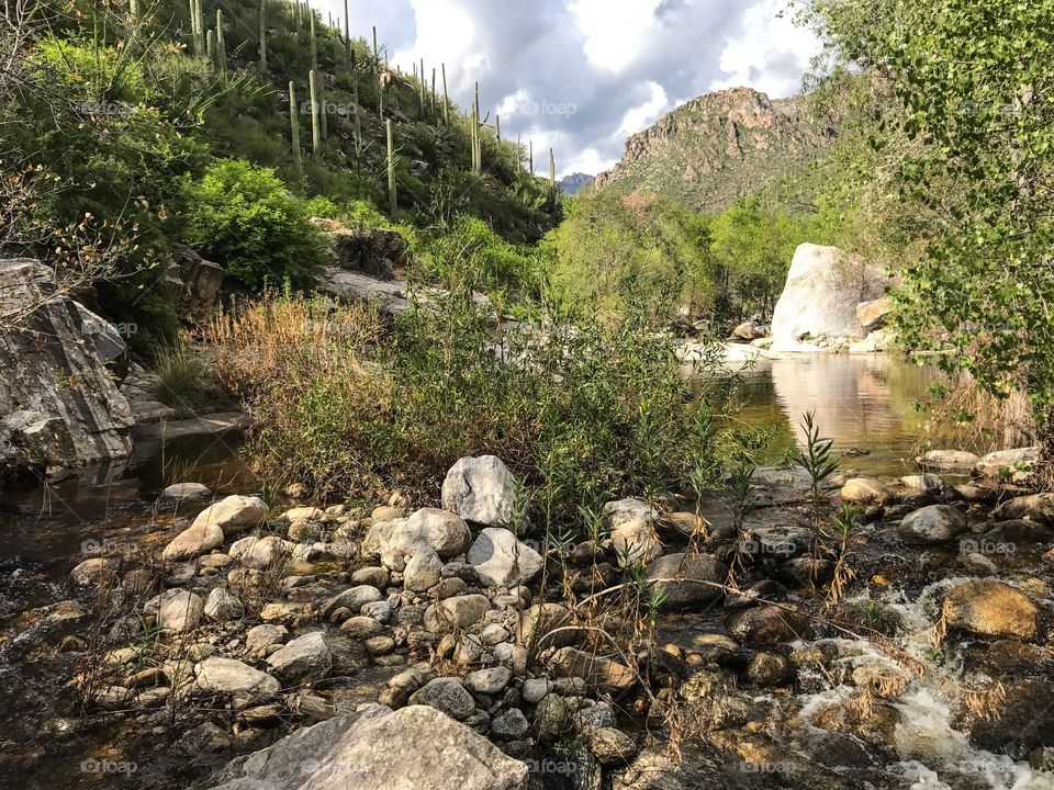 Nature Mountain Landscape - Sabino Canyon in Tucson, Arizona 