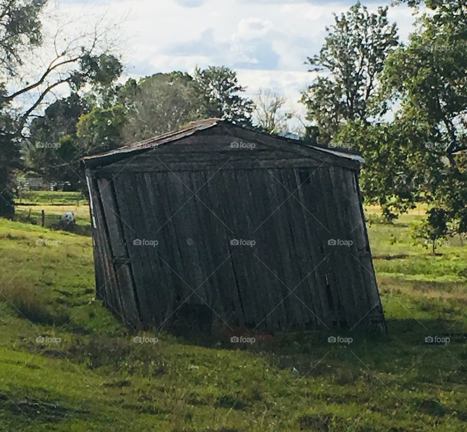 Shed