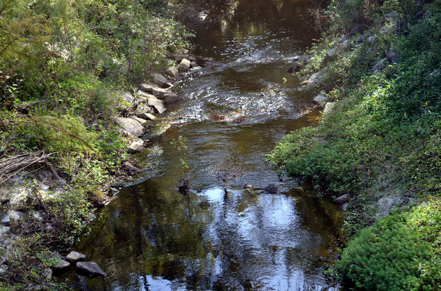 streams