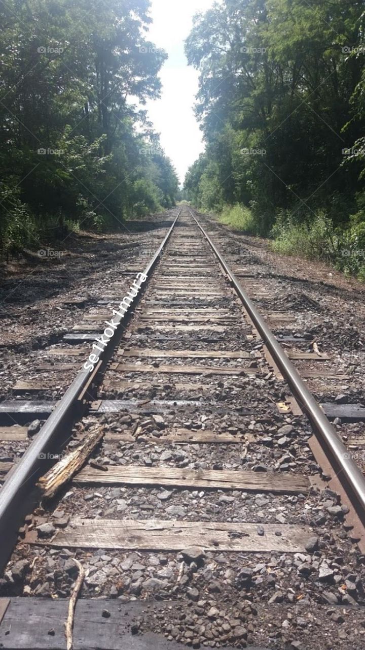 This is one of my favorite photos I've ever taken: The train tracks next to my house. My favorite place still to this day :)