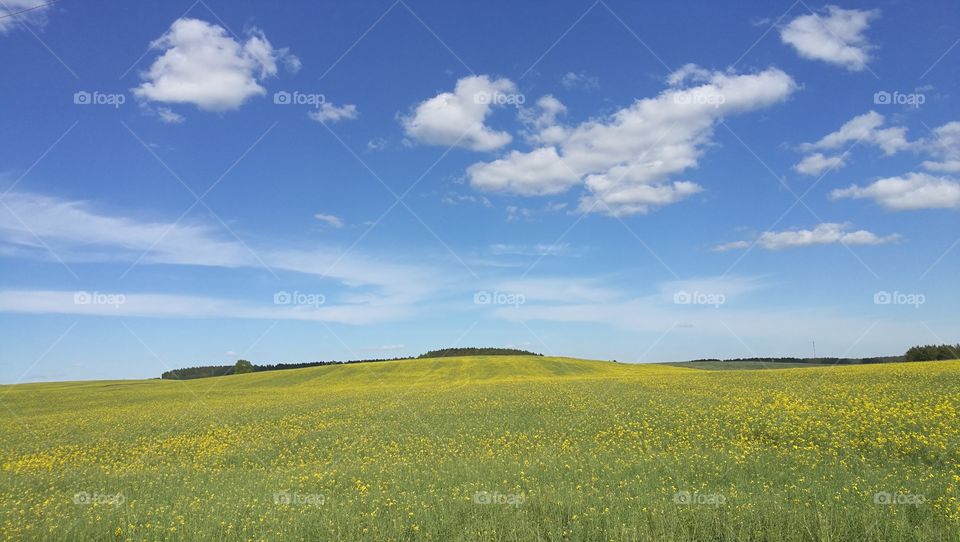 Lithuania countryside