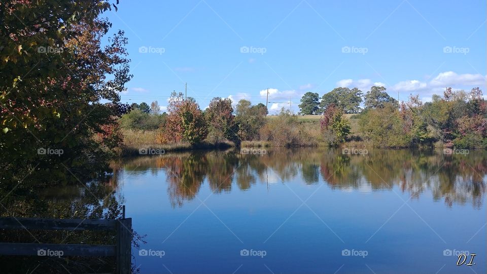 Reflection, Water, No Person, Tree, Lake